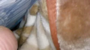 La MILF Nina suce matures francaises une bite au hasard avec son mari dans la chambre!